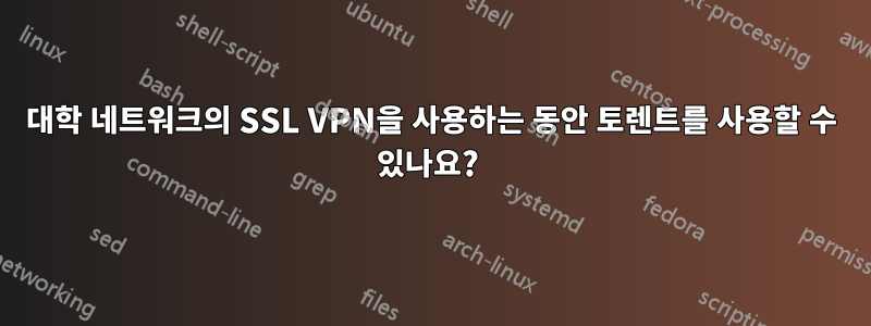 대학 네트워크의 SSL VPN을 사용하는 동안 토렌트를 사용할 수 있나요? 