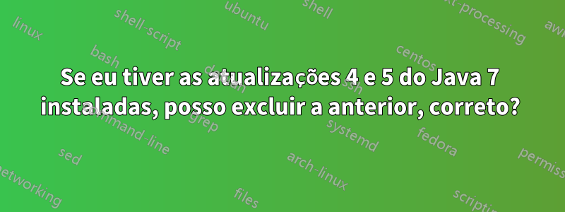 Se eu tiver as atualizações 4 e 5 do Java 7 instaladas, posso excluir a anterior, correto?