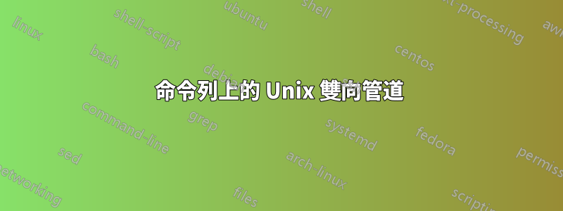 命令列上的 Unix 雙向管道