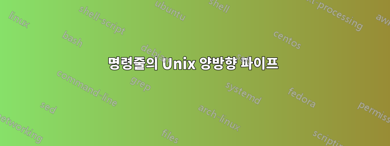 명령줄의 Unix 양방향 파이프