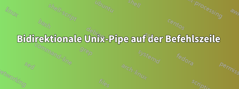 Bidirektionale Unix-Pipe auf der Befehlszeile