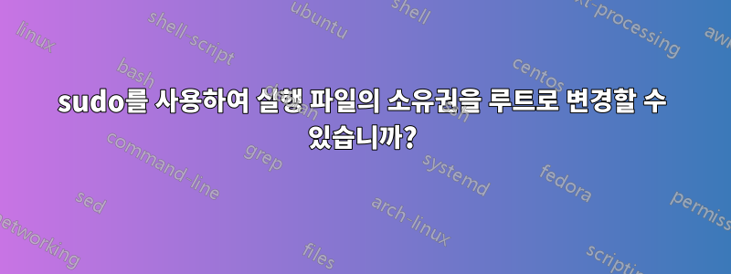 sudo를 사용하여 실행 파일의 소유권을 루트로 변경할 수 있습니까?