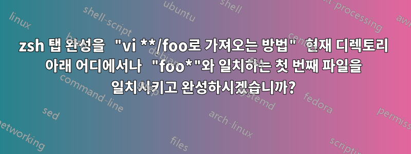 zsh 탭 완성을 "vi **/foo로 가져오는 방법" 현재 디렉토리 아래 어디에서나 "foo*"와 일치하는 첫 번째 파일을 일치시키고 완성하시겠습니까?