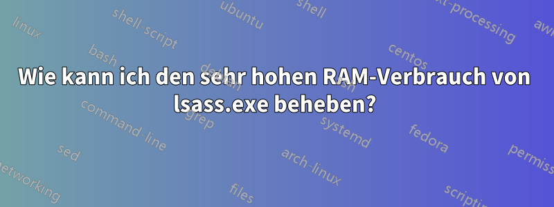 Wie kann ich den sehr hohen RAM-Verbrauch von lsass.exe beheben?