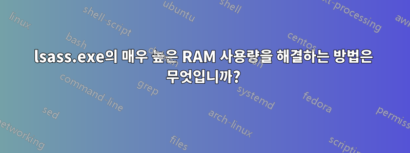 lsass.exe의 매우 높은 RAM 사용량을 해결하는 방법은 무엇입니까?