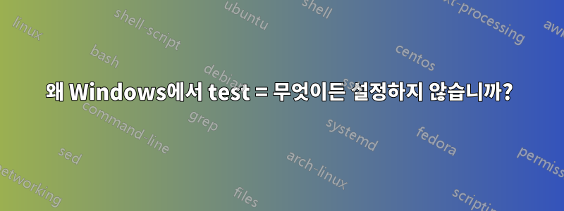 왜 Windows에서 test = 무엇이든 설정하지 않습니까?