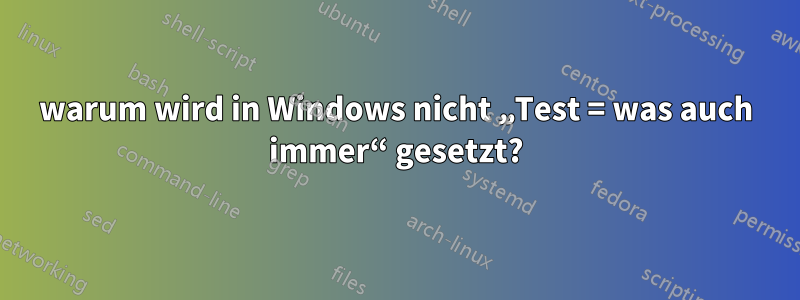 warum wird in Windows nicht „Test = was auch immer“ gesetzt?