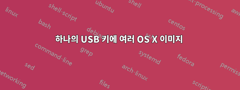 하나의 USB 키에 여러 OS X 이미지