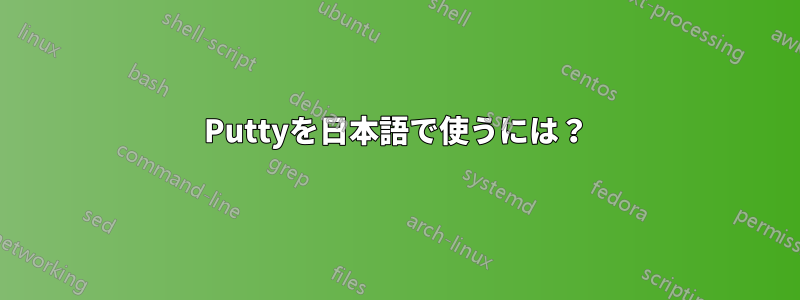 Puttyを日本語で使うには？