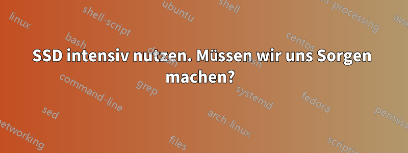 SSD intensiv nutzen. Müssen wir uns Sorgen machen? 