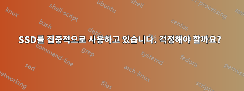 SSD를 집중적으로 사용하고 있습니다. 걱정해야 할까요? 