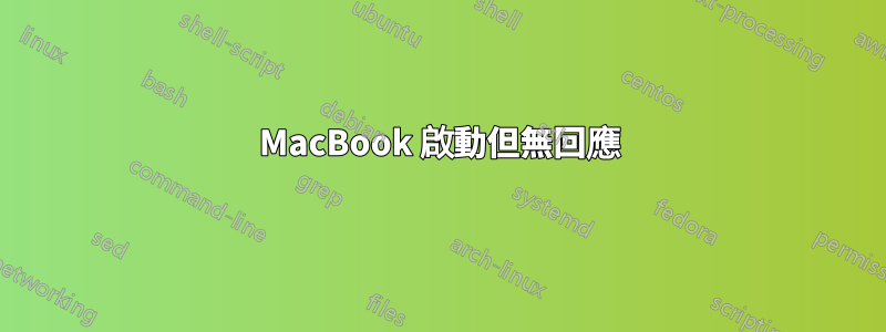 MacBook 啟動但無回應