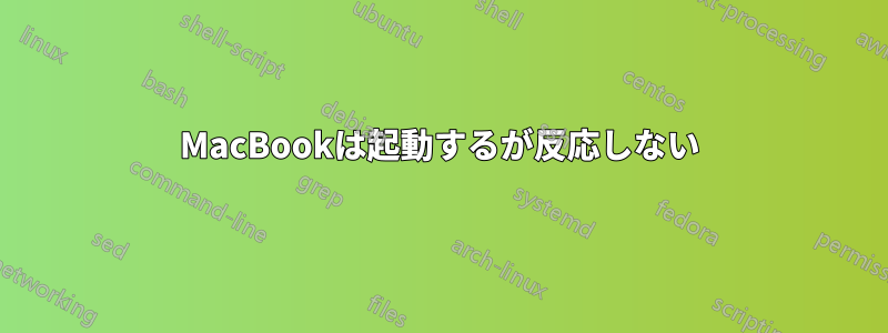 MacBookは起動するが反応しない