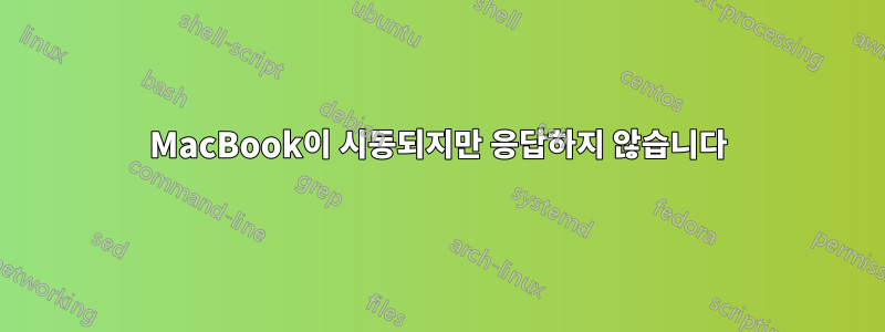 MacBook이 시동되지만 응답하지 않습니다