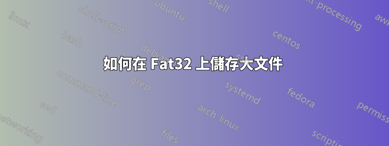 如何在 Fat32 上儲存大文件