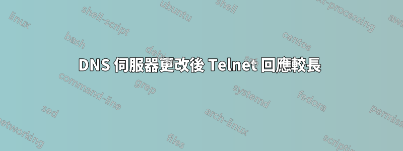 DNS 伺服器更改後 Telnet 回應較長