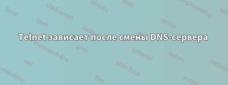 Telnet зависает после смены DNS-сервера