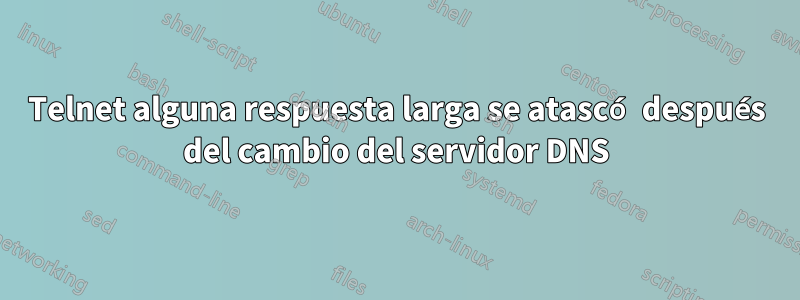 Telnet alguna respuesta larga se atascó después del cambio del servidor DNS