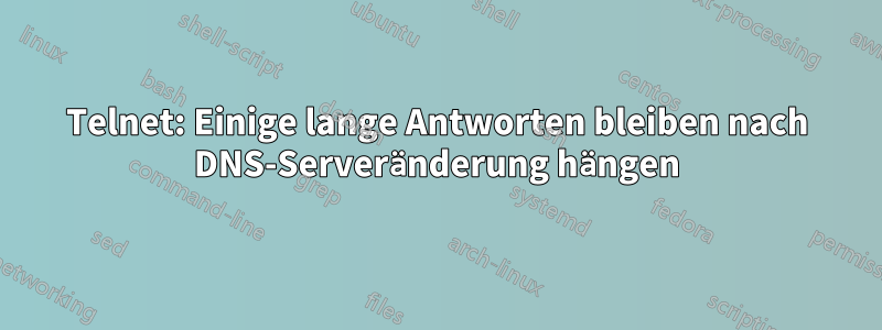 Telnet: Einige lange Antworten bleiben nach DNS-Serveränderung hängen