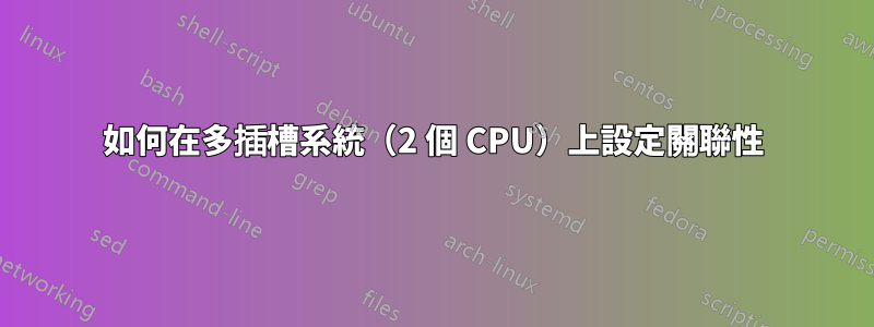 如何在多插槽系統（2 個 CPU）上設定關聯性