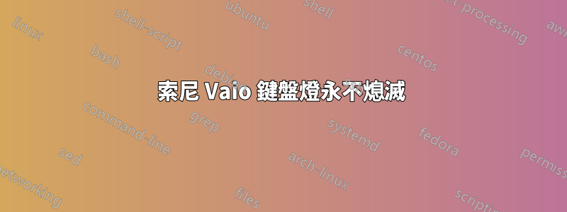 索尼 Vaio 鍵盤燈永不熄滅