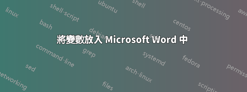 將變數放入 Microsoft Word 中