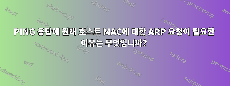 PING 응답에 원래 호스트 MAC에 대한 ARP 요청이 필요한 이유는 무엇입니까?