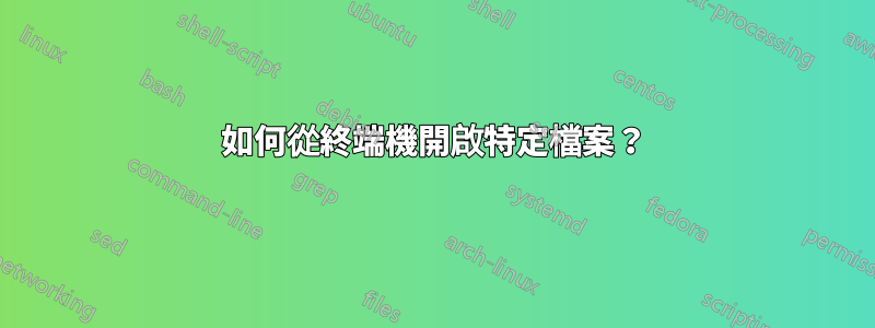 如何從終端機開啟特定檔案？