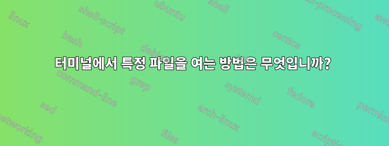 터미널에서 특정 파일을 여는 방법은 무엇입니까?