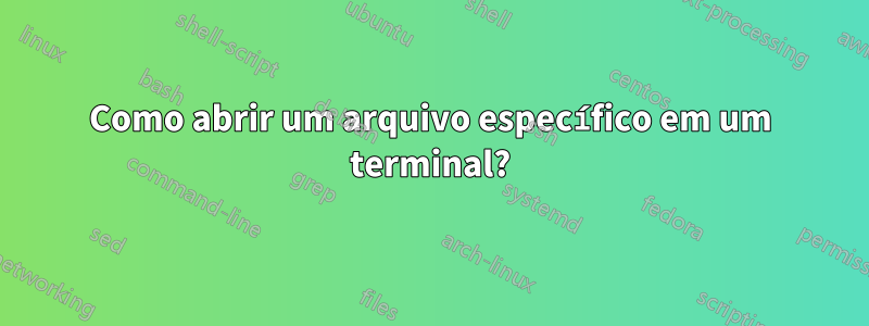 Como abrir um arquivo específico em um terminal?