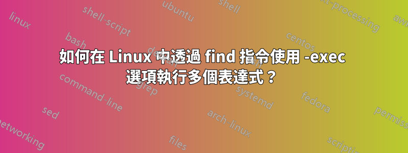 如何在 Linux 中透過 find 指令使用 -exec 選項執行多個表達式？