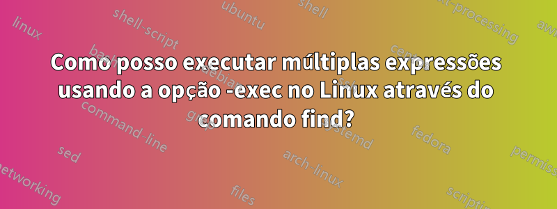 Como posso executar múltiplas expressões usando a opção -exec no Linux através do comando find?