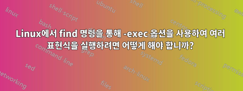 Linux에서 find 명령을 통해 -exec 옵션을 사용하여 여러 표현식을 실행하려면 어떻게 해야 합니까?