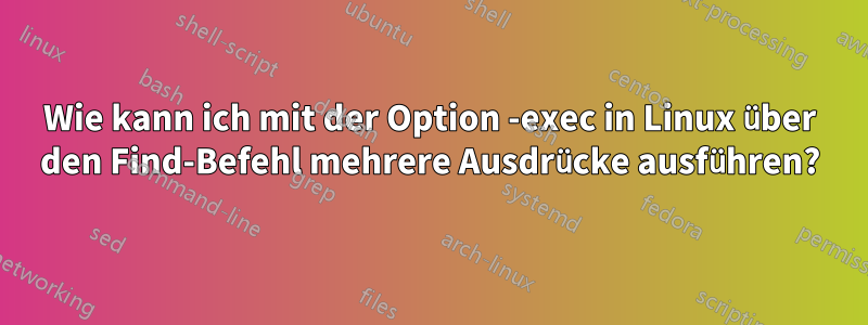 Wie kann ich mit der Option -exec in Linux über den Find-Befehl mehrere Ausdrücke ausführen?