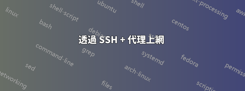 透過 SSH + 代理上網