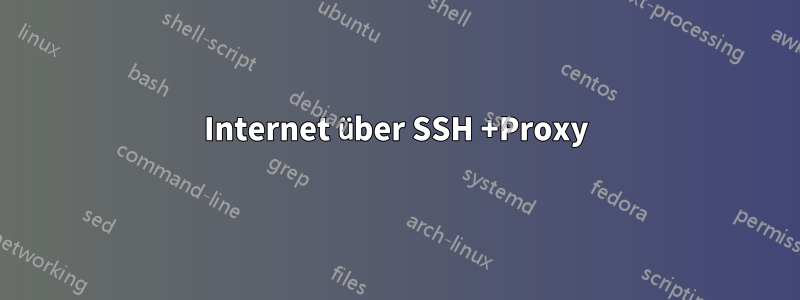 Internet über SSH +Proxy