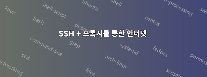 SSH + 프록시를 통한 인터넷