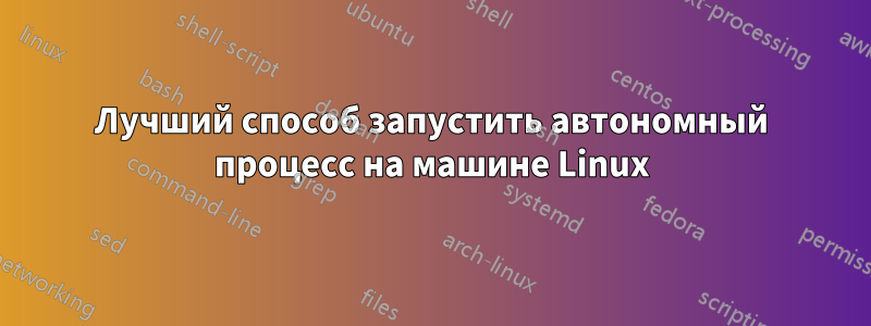 Лучший способ запустить автономный процесс на машине Linux