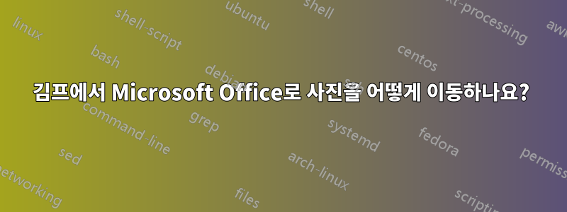 김프에서 Microsoft Office로 사진을 어떻게 이동하나요?