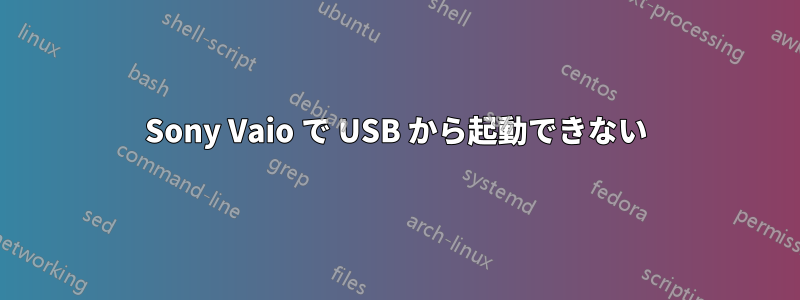 Sony Vaio で USB から起動できない