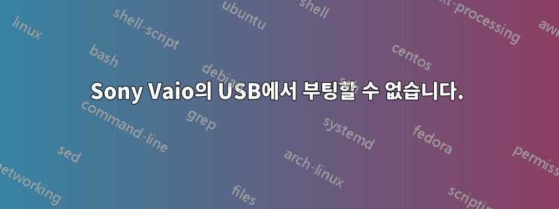 Sony Vaio의 USB에서 부팅할 수 없습니다.