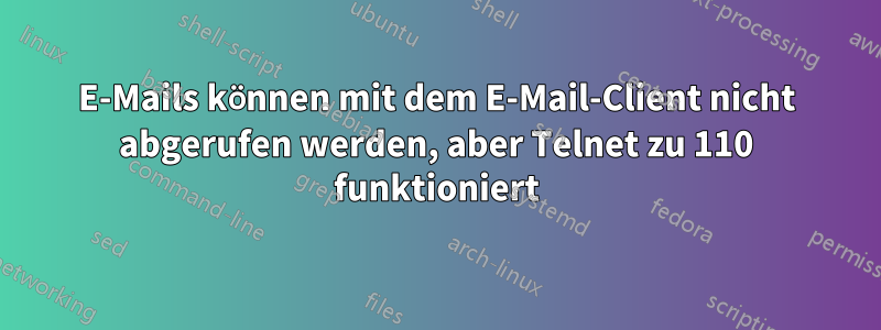 E-Mails können mit dem E-Mail-Client nicht abgerufen werden, aber Telnet zu 110 funktioniert