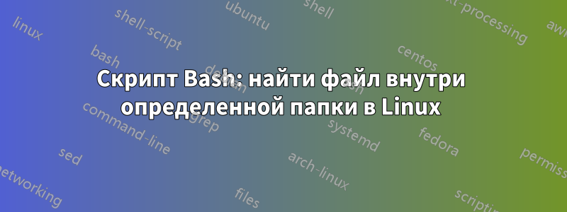 Скрипт Bash: найти файл внутри определенной папки в Linux