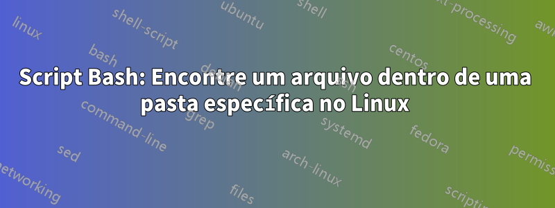 Script Bash: Encontre um arquivo dentro de uma pasta específica no Linux