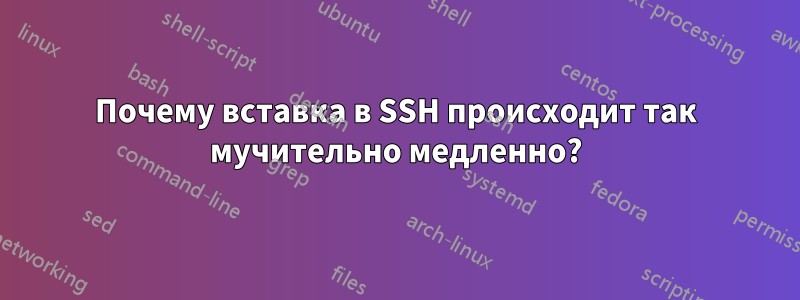 Почему вставка в SSH происходит так мучительно медленно?