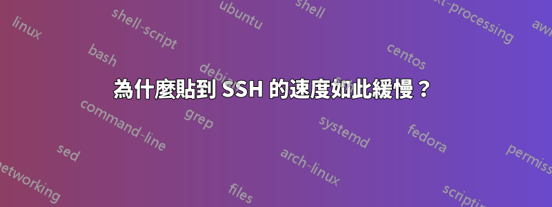 為什麼貼到 SSH 的速度如此緩慢？