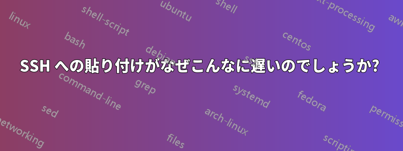 SSH への貼り付けがなぜこんなに遅いのでしょうか?