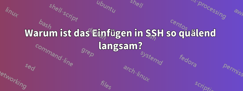 Warum ist das Einfügen in SSH so quälend langsam?