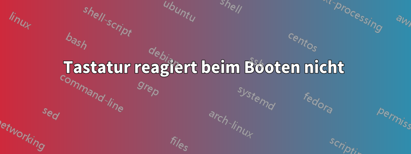 Tastatur reagiert beim Booten nicht