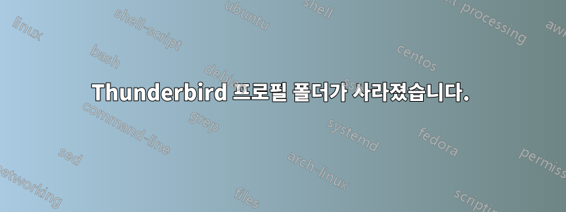 Thunderbird 프로필 폴더가 사라졌습니다.